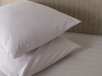 Комплект наволочек Шарлотта (светлый)