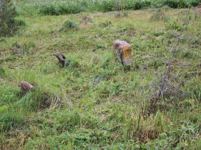 Жилое здание