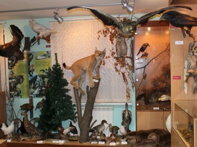 Краеведческий музей Шегарского района