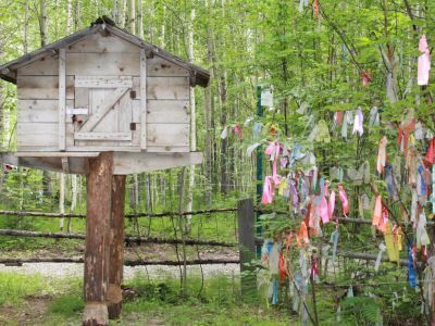 Этнографический музей. Экспозиция под открытым небом
