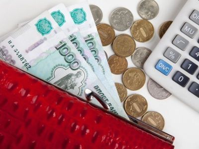 Законопроект о выплатах домохозяйкам внесут в Госдуму РФ
