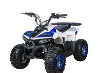 Квадроцикл YACOTA Raposa Pro Sport