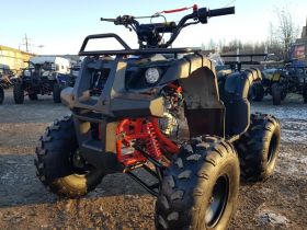 Квадроцикл RAPTOR 8