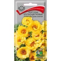 Портулак крупноцветковый Солнечная страна золотой