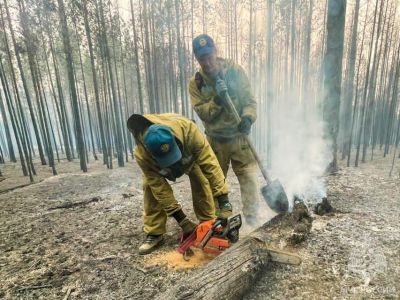 Правительство компенсирует Якутии затраты на тушение лесных пожаров