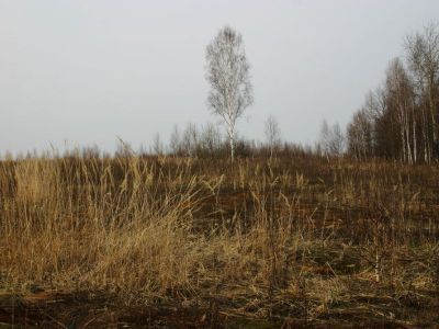 Памятник архитектуры XIX в., бывший Рождественский монастырь