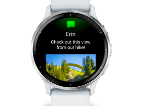 Смарт-часы Garmin Venu 3 (Silver) (010-02784-00)
