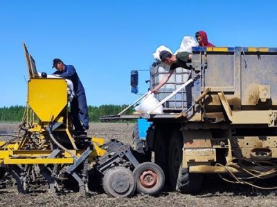 Почти все засеяли