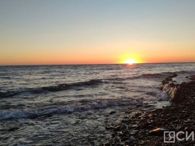 Авито предоставит технику и жилье волонтерам, устраняющим последствия разлива мазута в Черном море