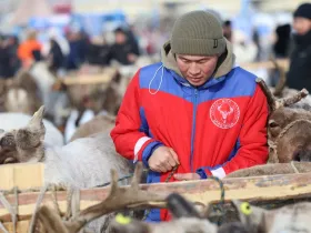 В Якутске после семилетнего перерыва проходят Игры оленеводов