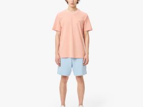 Мужская футболка Lacoste с воротником в полоску из эластичного хлопка