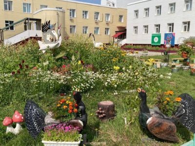 Пришкольный сад республиканской специальной школы-интерната стал лучшим в Сайсарском округе