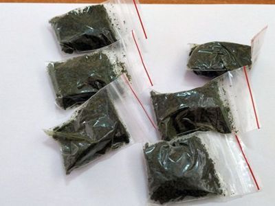 В реестр запрещенных наркотических средств предложили внести насвай