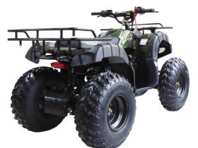 Квадроцикл WELS ATV Thunder 150