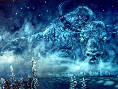 У якутского Быка холода вырос первый рог