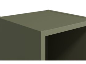 Полка Стор 25x136 Оливковый