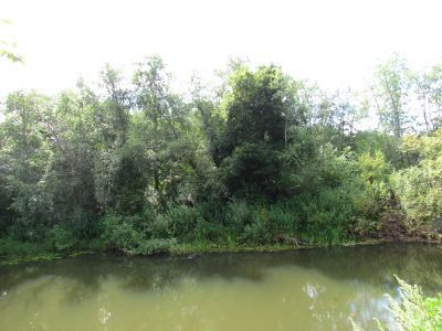 Памятное место, на котором находилась усадьба Овцыных "Лубенино", в которой жили русский гидрограф  Д.Л. Овцын и известный деятель Костромского земства П. Ротаст