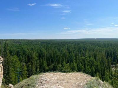 Семь лесных пожаров ликвидировали в Якутии за сутки