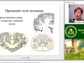 Международный вебинар "Двигательная активность и здоровье современного человека: характеристика основных оздоровительных упражнений"