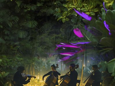 МАГИЯ СВЕЧЕЙ. «Времена года. Vivaldi vs Piazzolla» в Оранжерее