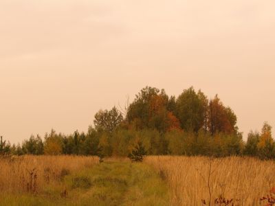 Священная роща