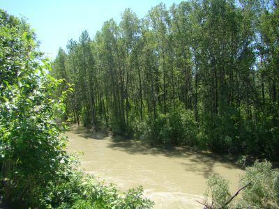 Поповский остров