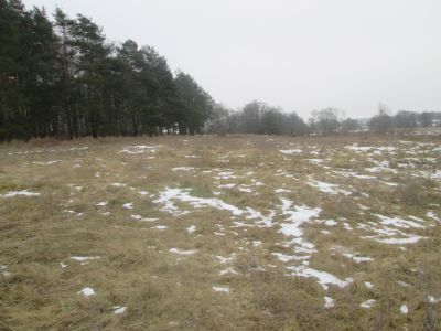 Памятное место, где базировались первые партизанские отряды в 1941-1942 гг. Деревня полностью сожжена гитлеровцами