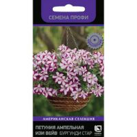 Петуния ампельная Изи Вейв Бургунди Стар (Семена Профи)(срок реализации до конца 2026 г)