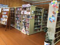 Калинихинская сельская библиотека