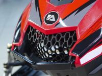 Снегоход ATAKI WD 250