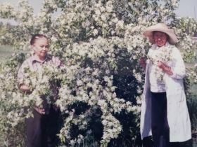 «Ранетки лежали под снегом»: история первого в Якутии яблоневого сада