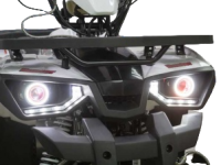 Квадроцикл AVANTIS Hunter 7 New Lux 2018