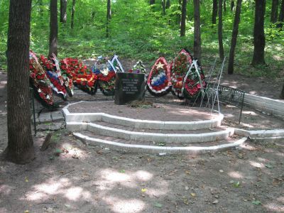 Могила неизвестного Советского летчика, погибшего в боях с фашистскими захватчиками в 1943 г.
