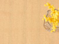 Скатерть-дорожка Мимоза/Mimosa