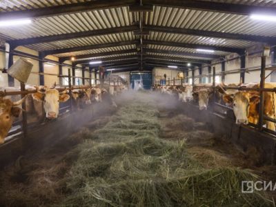 В Якутии поддержат развитие инфраструктуры агропромышленного комплекса