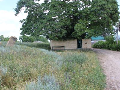 Пир "Цацун-пир"