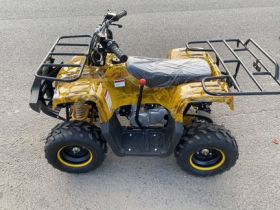 Квадроцикл YACOTA Smarty 110