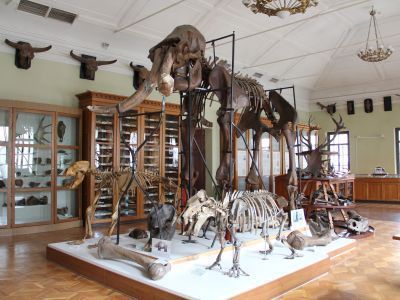 Геологический музей им. А. А. Штукенберга