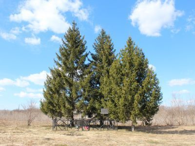 Братская могила советских воинов, погибших в боях с фашистскими захватчиками в 1943 году. Захоронено 27 человек, имена установлены. Обелиск