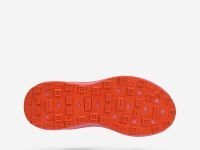 Кроссовки женские Terra Max Nitro W