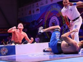 Итоги VI Чемпионата мира по мас-рестлингу среди мужчин и женщин