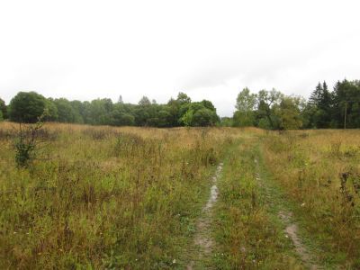 Памятное место, где с марта по июнь 1942 г. располагался Ельнинский райком партии и райисполком