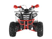 Квадроцикл WELS Thunder EVO X ST