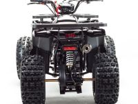 Квадроцикл MOTOLAND Wild 150
