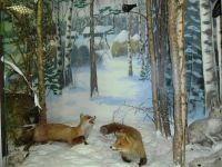 Вытегорский краеведческий музей