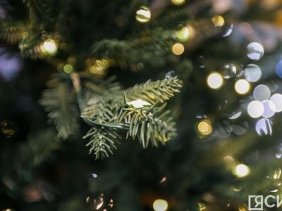 Как сэкономить деньги в новогодние праздники: советы экспертов