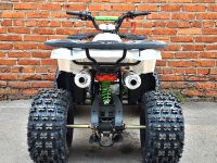Квадроцикл MOWGLI Hardy 8M