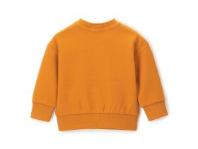 Свитшот для маленького мальчика