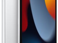 Apple iPad (2021) Wi-Fi 256Gb (Silver)