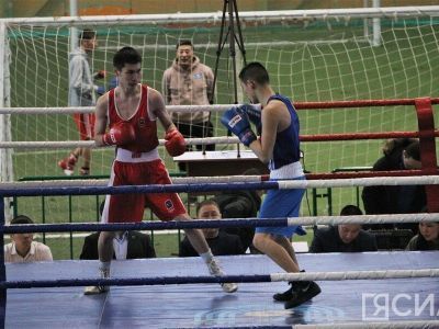 Боксёры из 19 команд сразятся за медали чемпионата Якутии